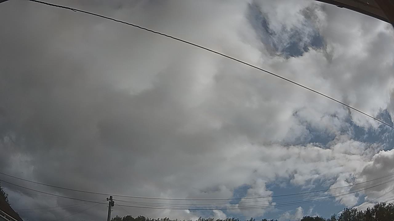 20260805_082847_cam2.jpg