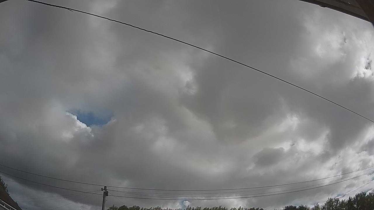20260805_083202_cam2.jpg