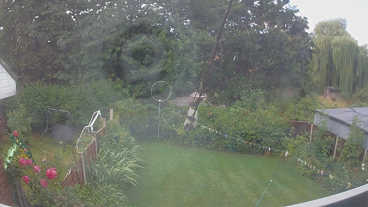 20260805_083516_cam1.jpg
