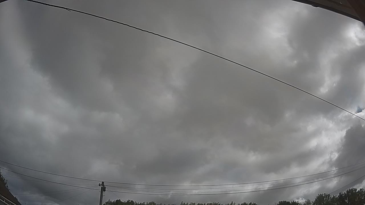 20260805_083517_cam2.jpg