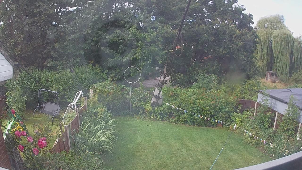 20260805_083831_cam1.jpg