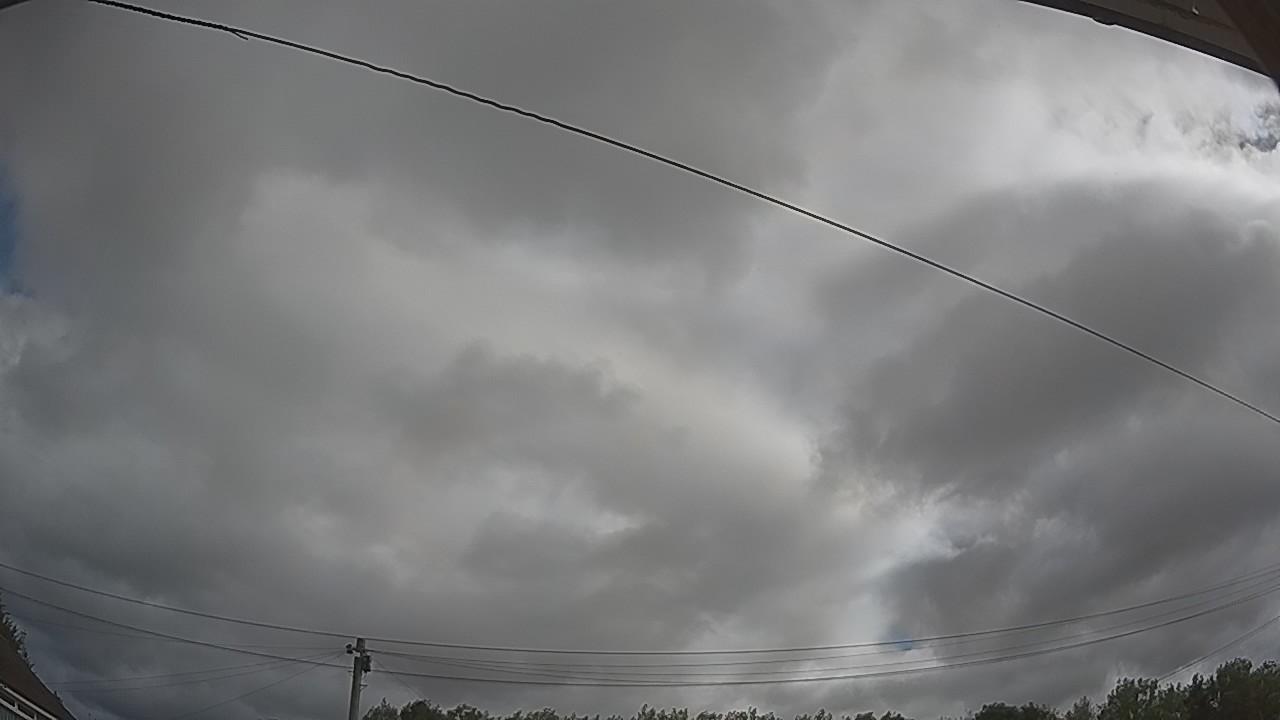 20260805_083832_cam2.jpg