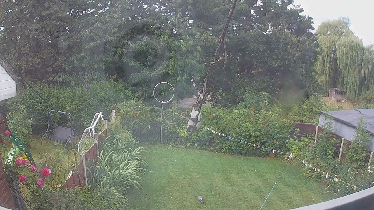 20260805_084146_cam1.jpg
