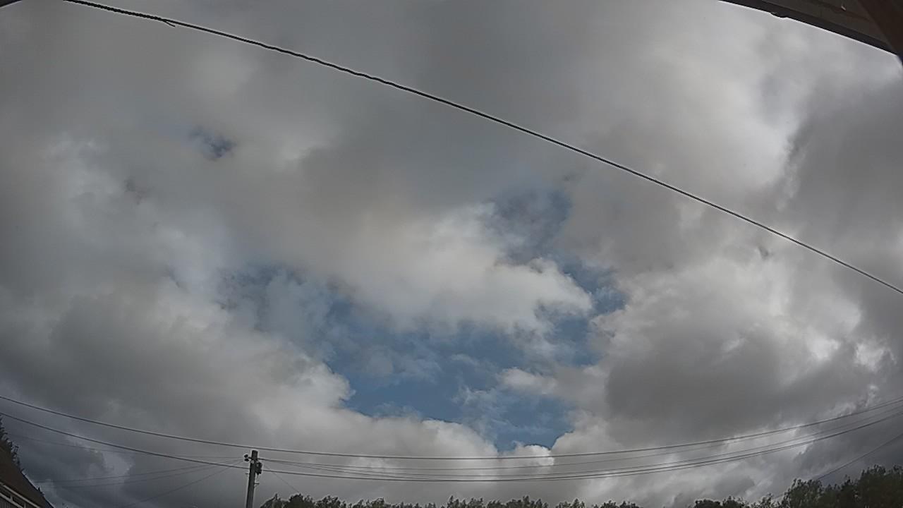 20260805_084147_cam2.jpg