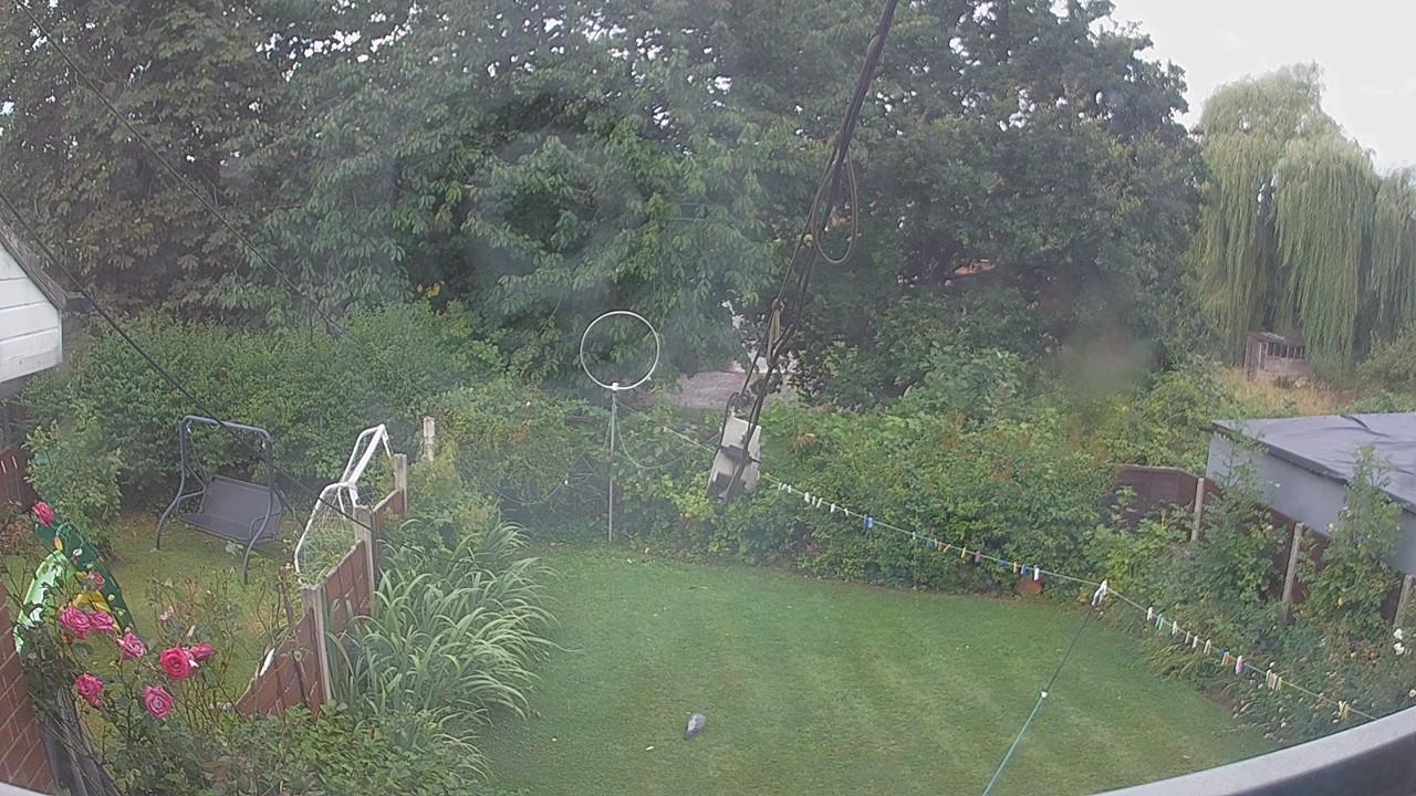 20260805_084501_cam1.jpg