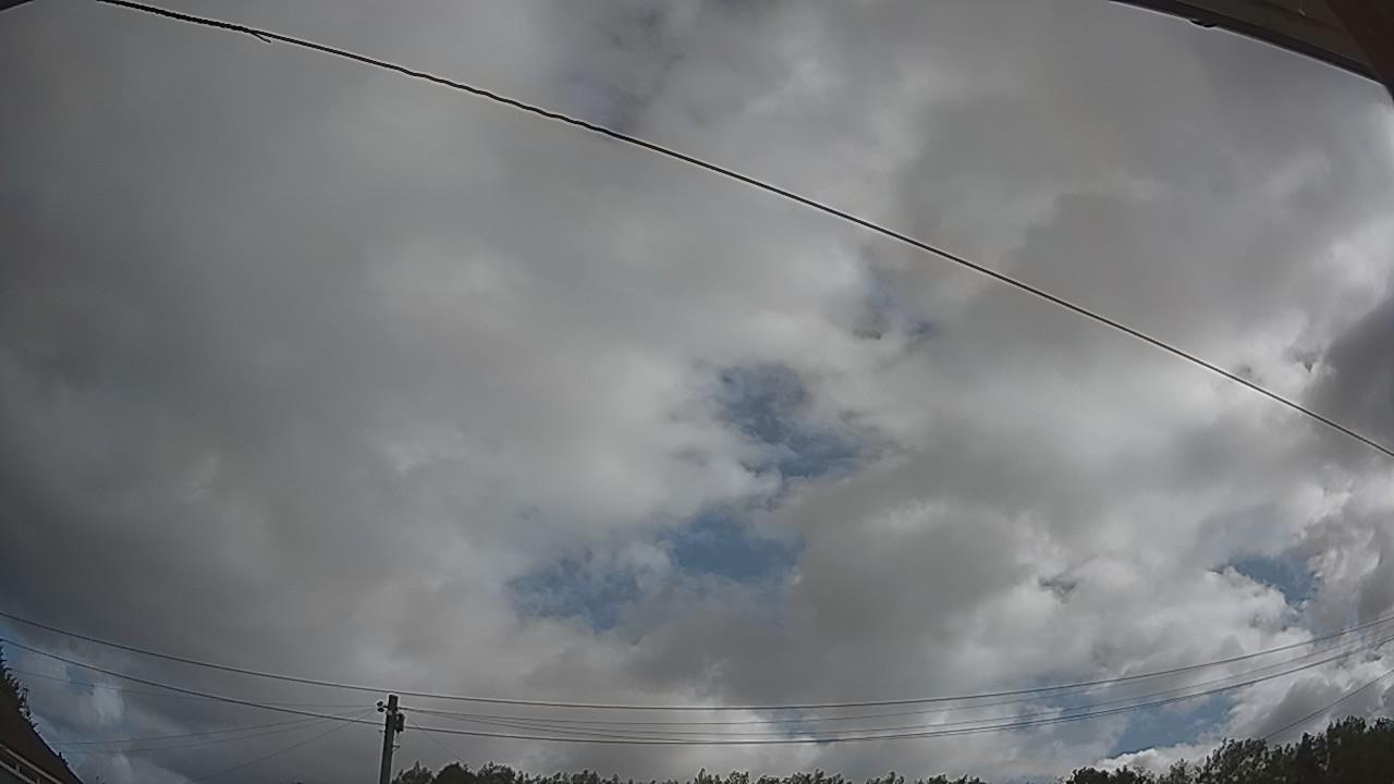 20260805_084502_cam2.jpg