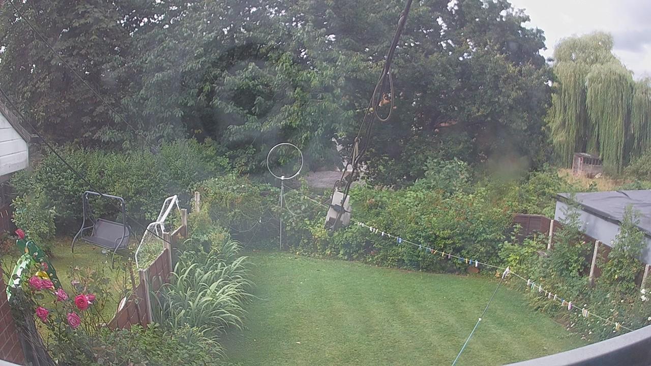 20260805_085131_cam1.jpg