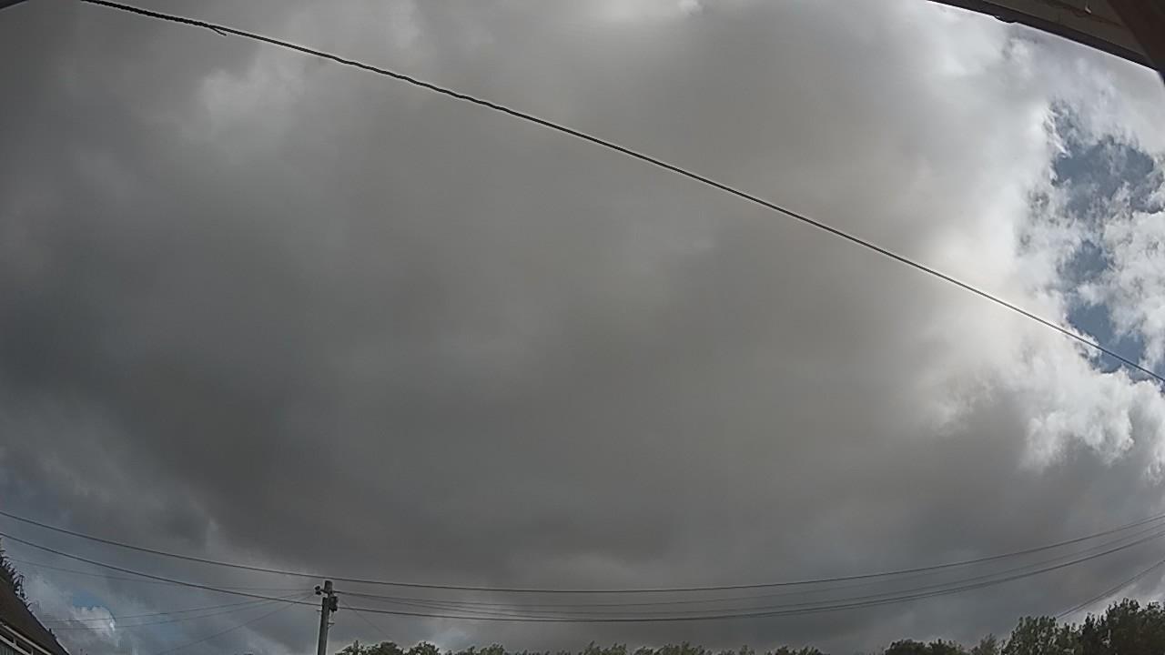 20260805_085132_cam2.jpg