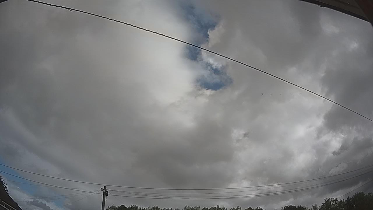 20260805_090216_cam2.jpg
