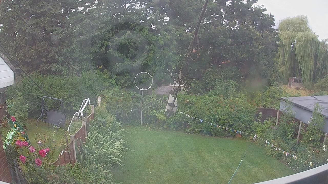20260805_090444_cam1.jpg