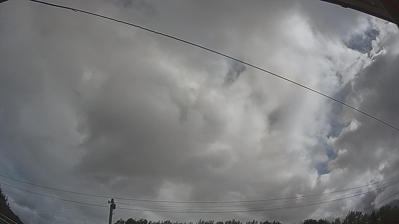 20260805_090445_cam2.jpg