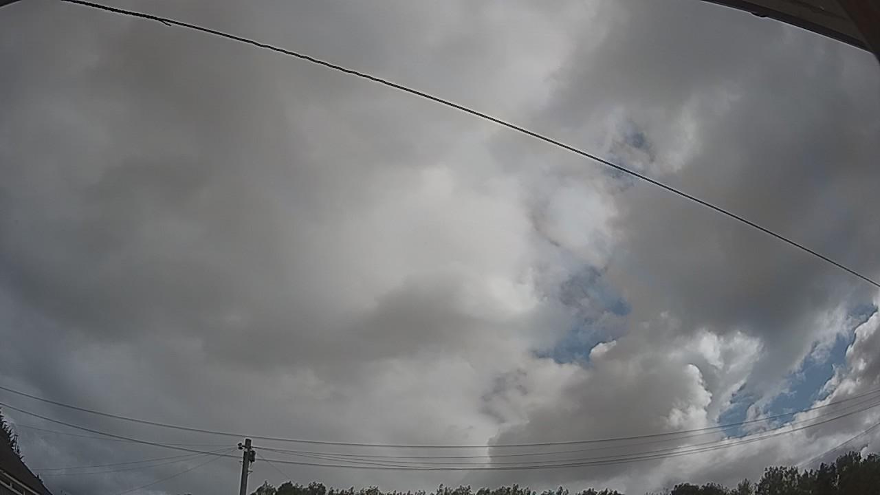 20260805_090714_cam2.jpg