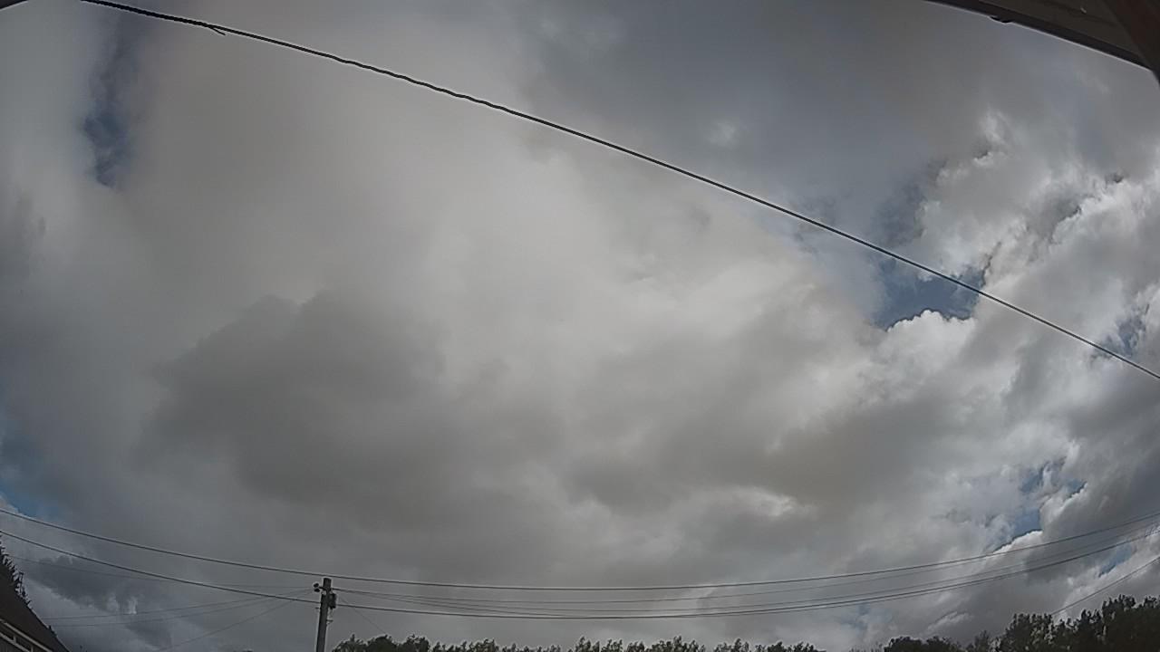 20260805_090943_cam2.jpg