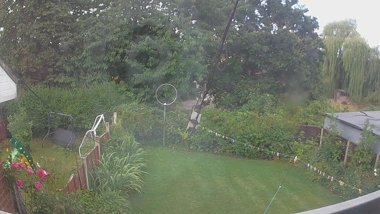 20260805_091211_cam1.jpg