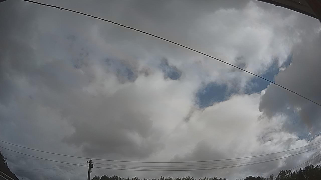 20260805_091212_cam2.jpg