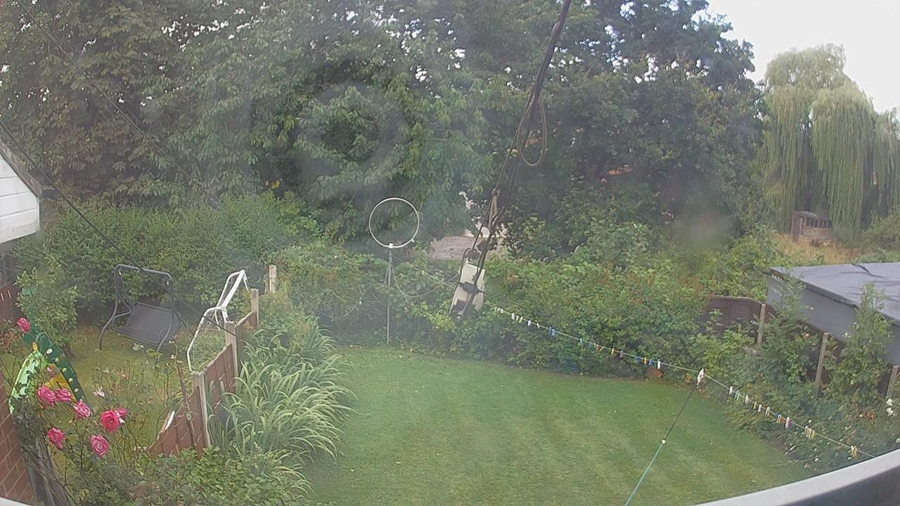 20260805_091440_cam1.jpg
