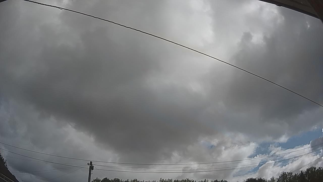 20260805_091441_cam2.jpg