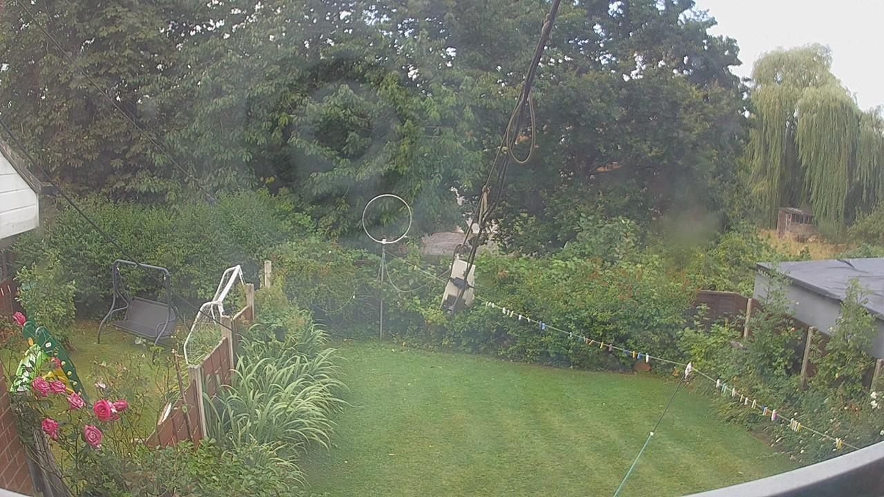 20260805_091709_cam1.jpg