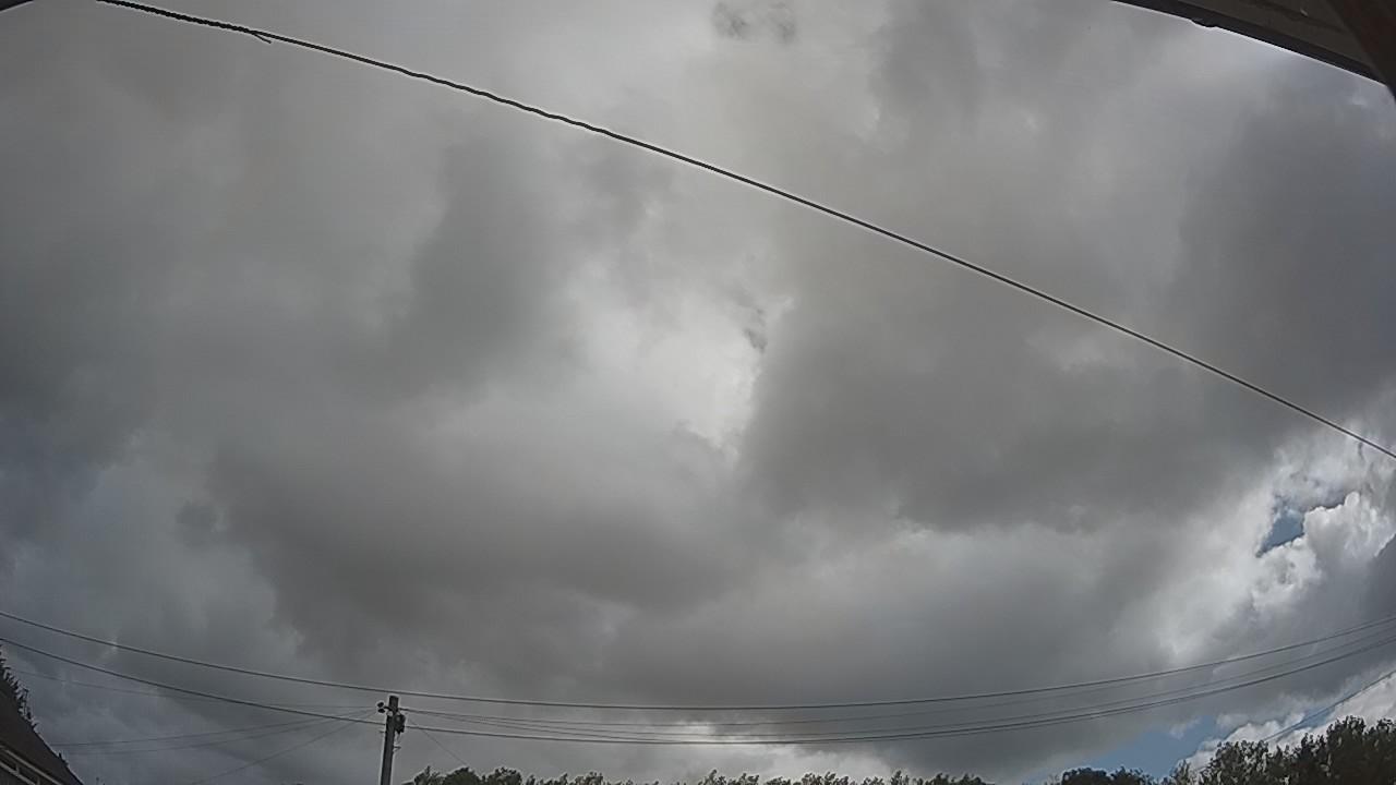 20260805_091710_cam2.jpg