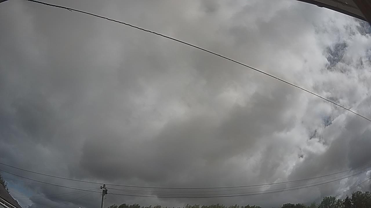 20260805_091940_cam2.jpg