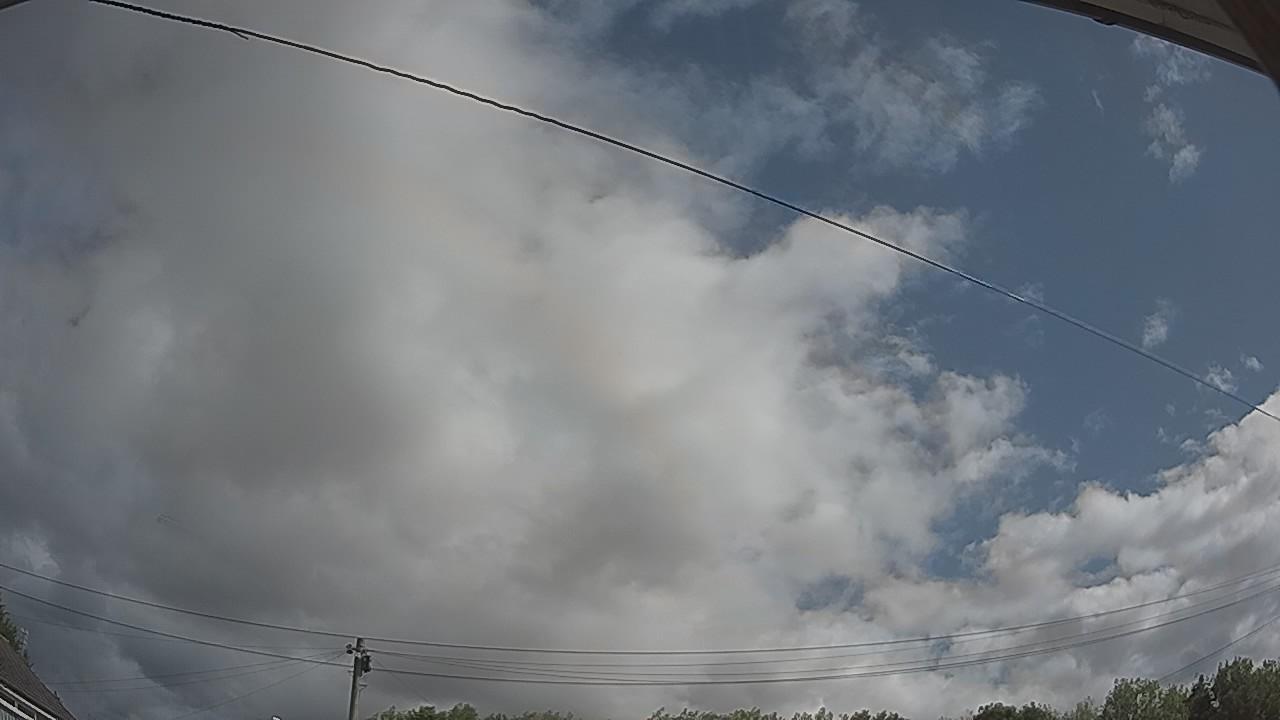 20260805_092918_cam2.jpg