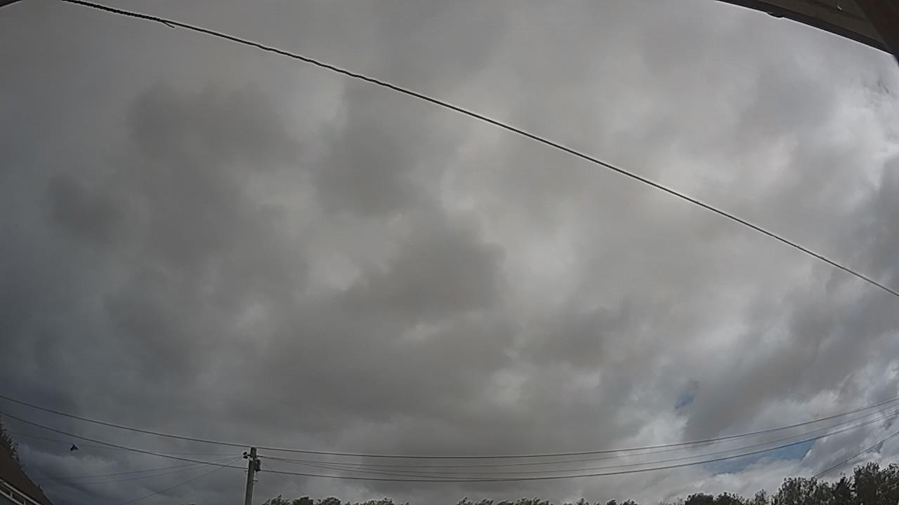 20260805_093621_cam2.jpg