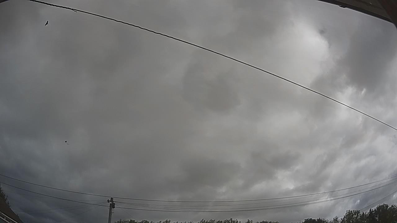 20260805_093842_cam2.jpg