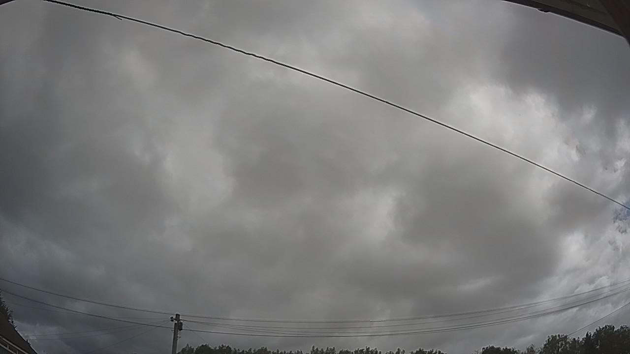 20260805_094324_cam2.jpg