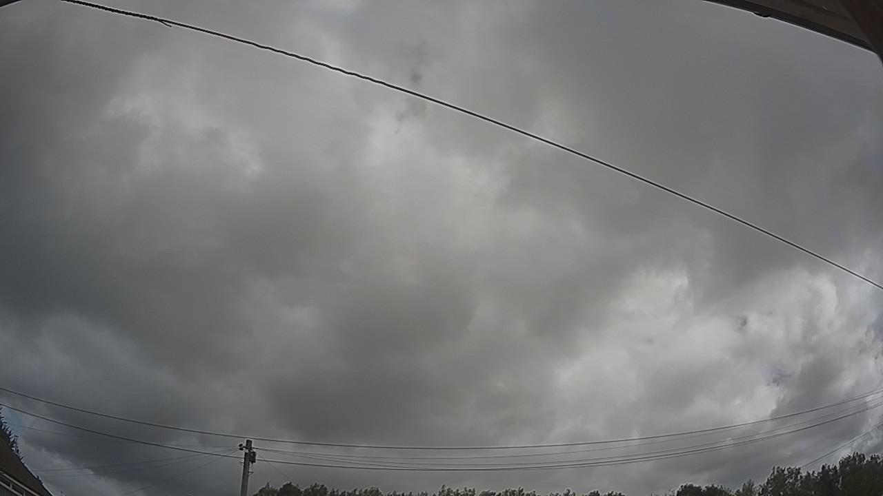 20260805_094545_cam2.jpg