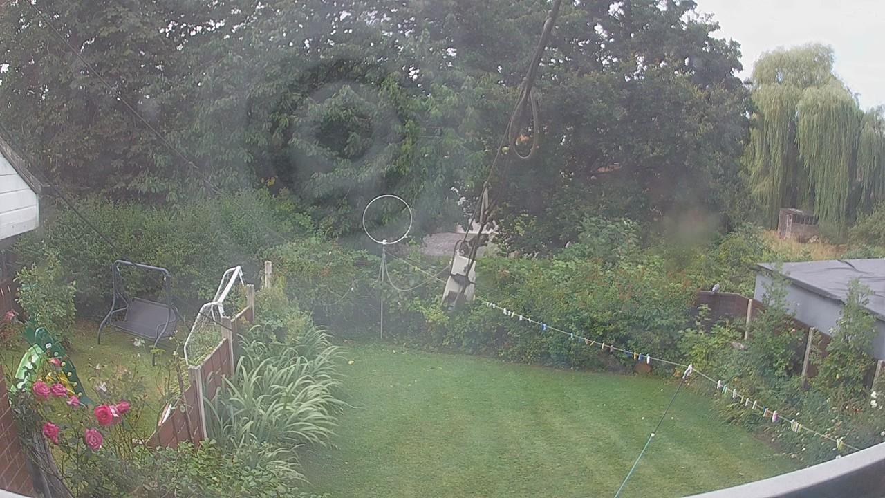 20260805_094805_cam1.jpg