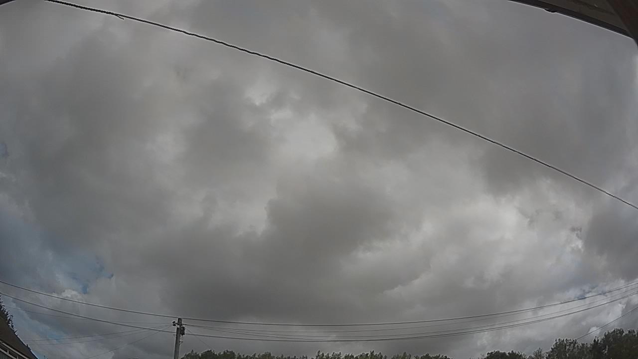 20260805_094806_cam2.jpg