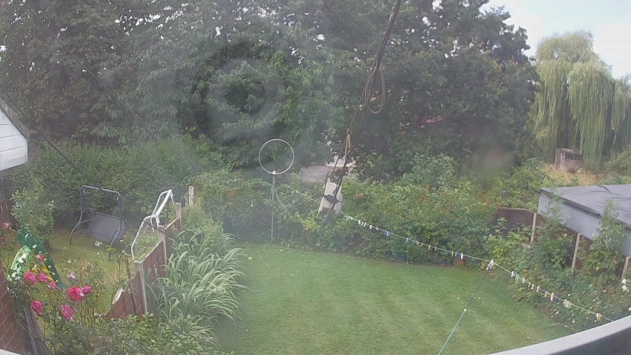 20260805_095026_cam1.jpg