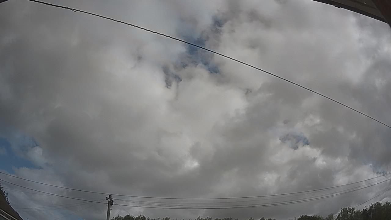 20260805_095027_cam2.jpg