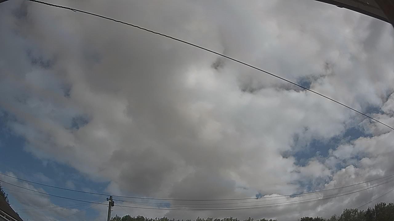 20260805_095248_cam2.jpg