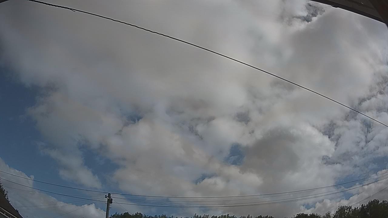 20260805_095509_cam2.jpg