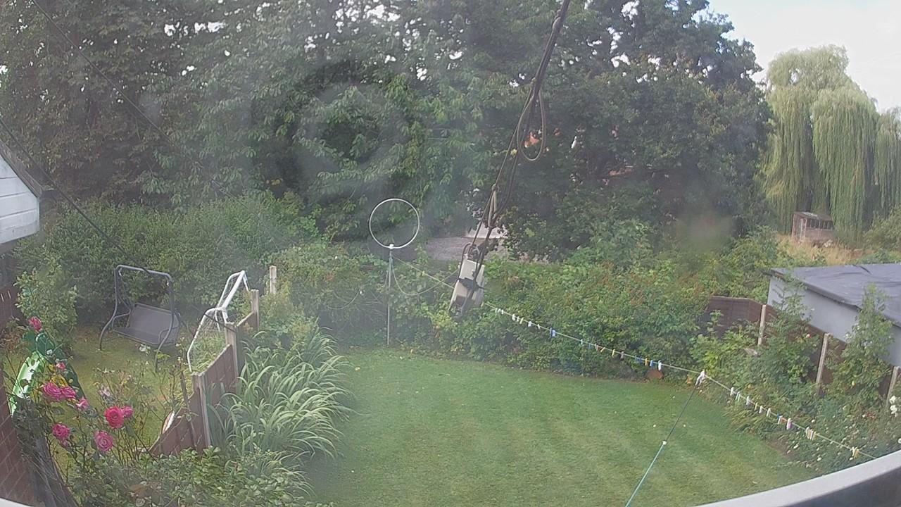 20260805_095729_cam1.jpg