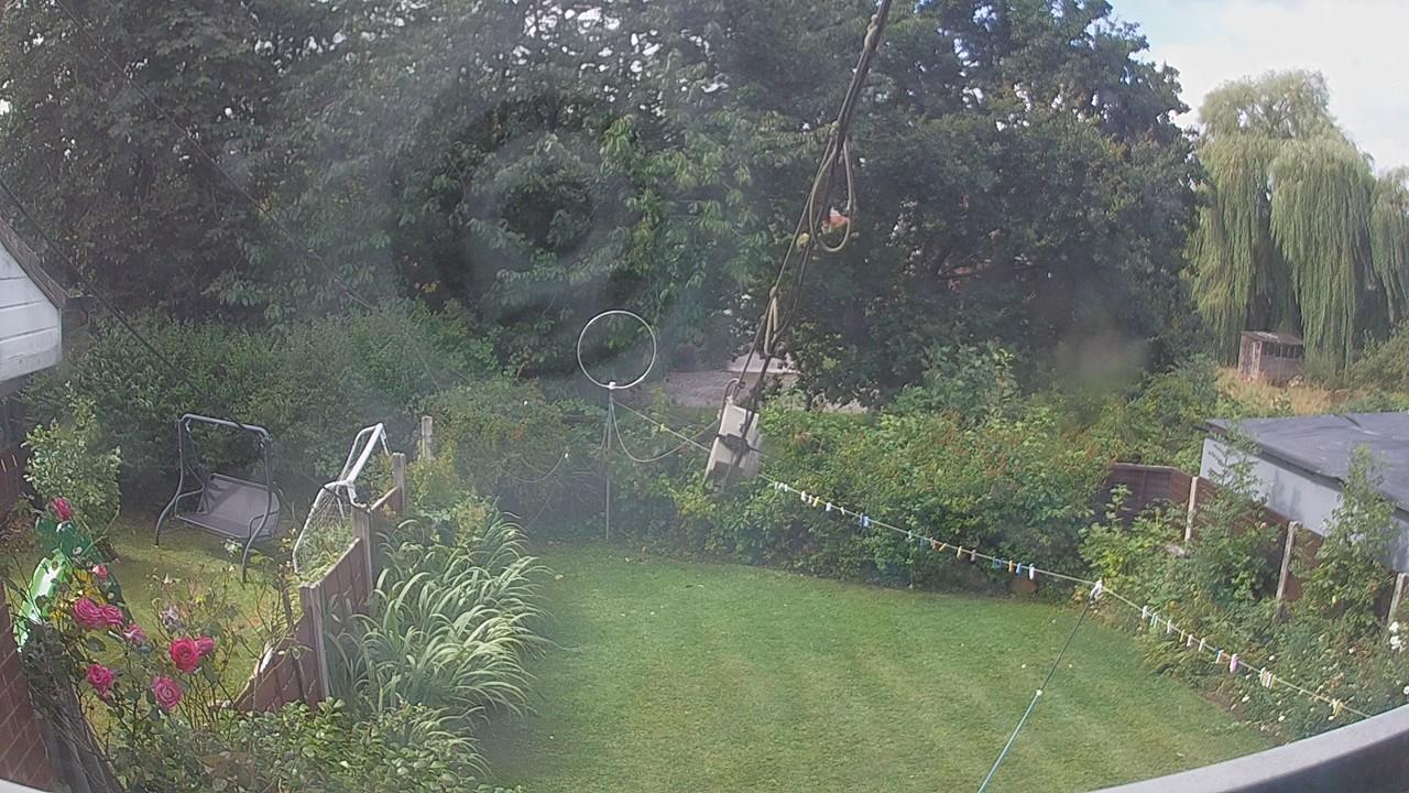 20260805_095950_cam1.jpg