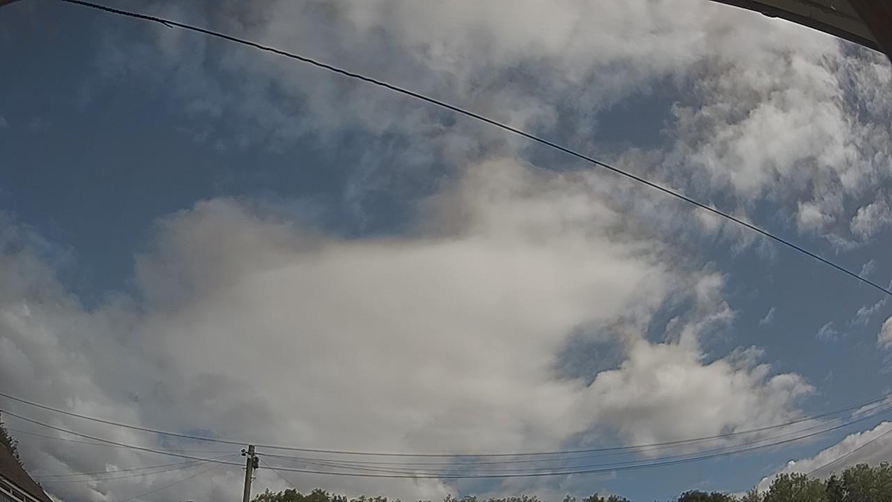20260805_095951_cam2.jpg