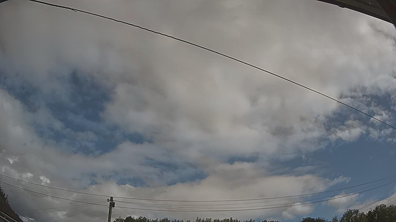 20260805_100212_cam2.jpg