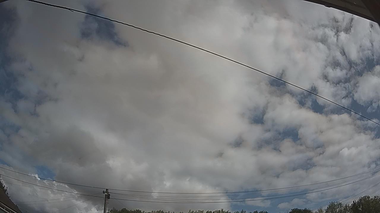 20260805_100654_cam2.jpg
