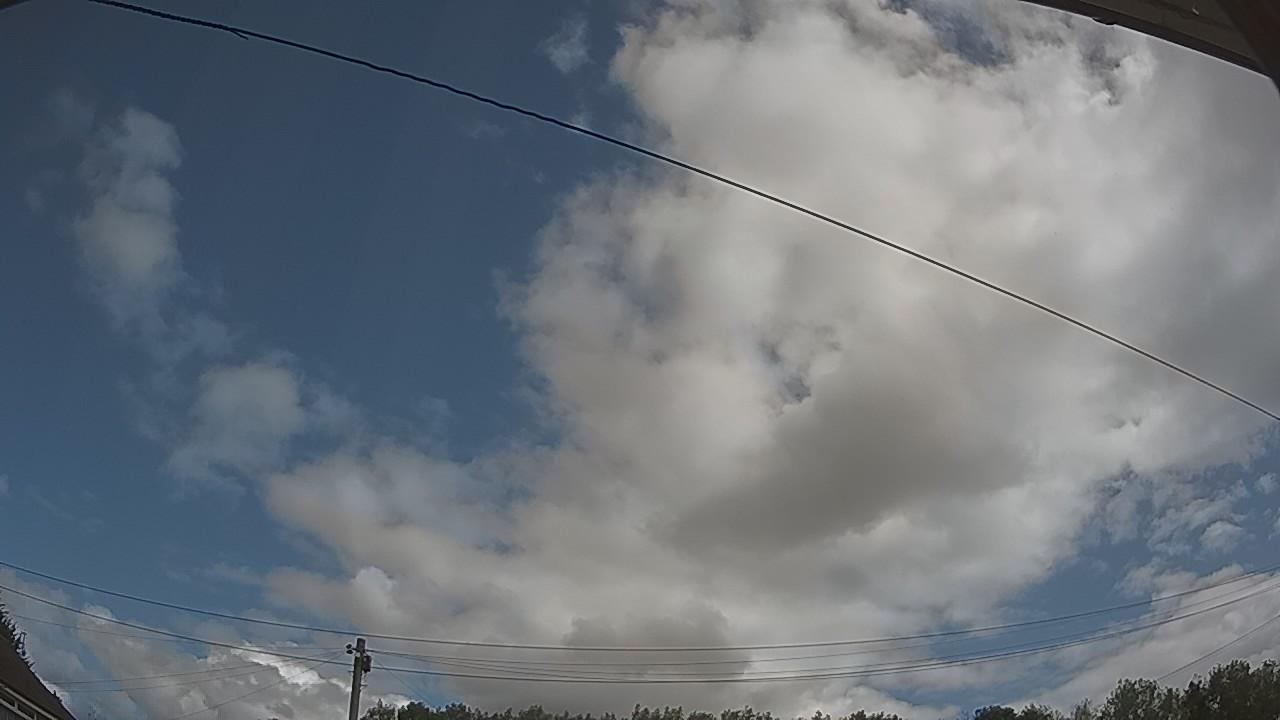 20260805_100915_cam2.jpg