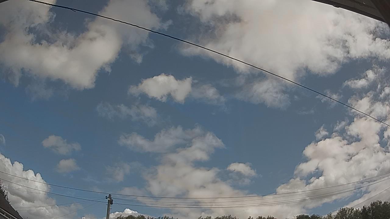 20260805_101136_cam2.jpg
