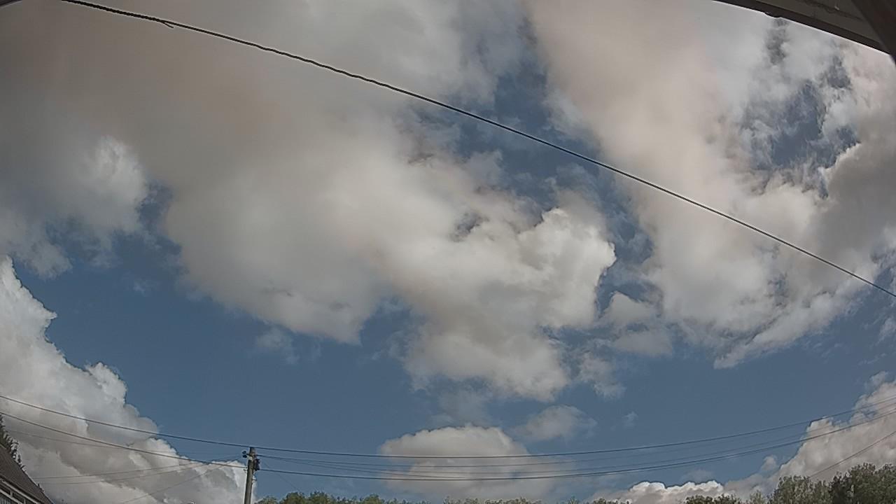 20260805_101357_cam2.jpg