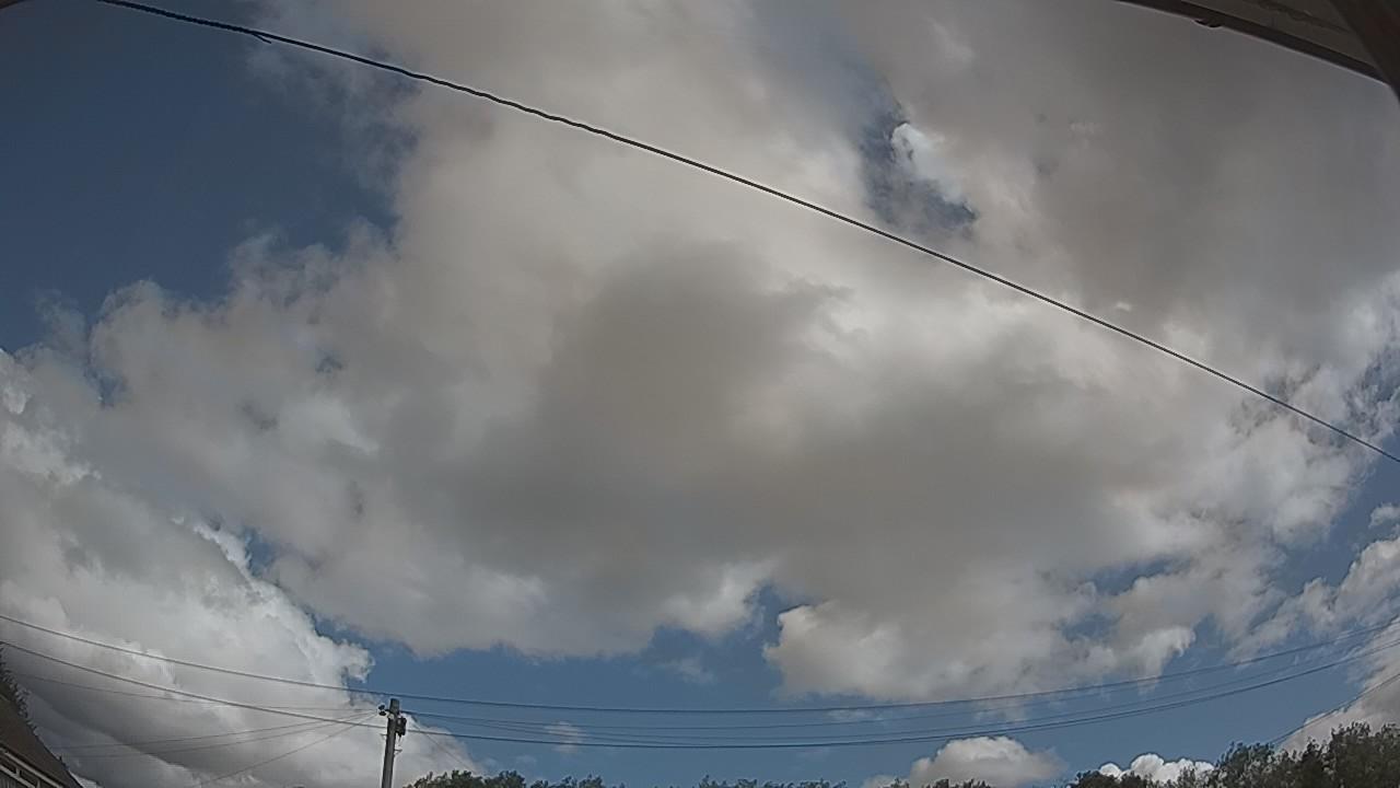 20260805_101618_cam2.jpg