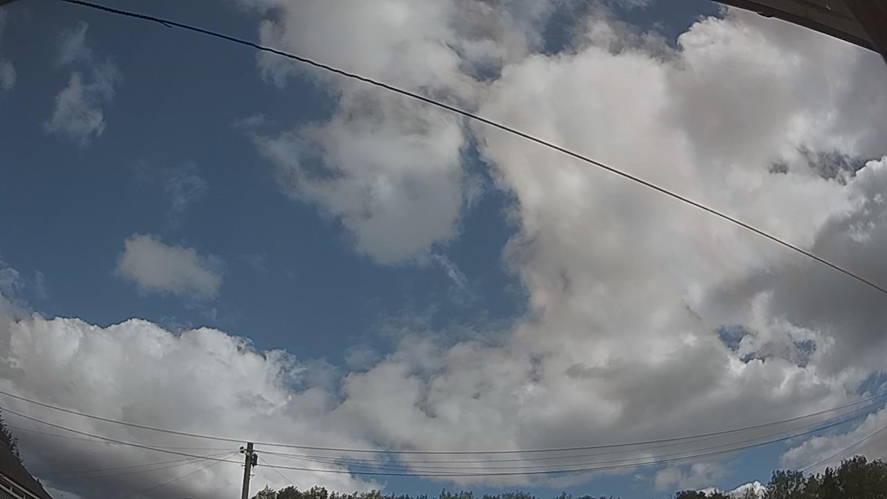 20260805_101839_cam2.jpg