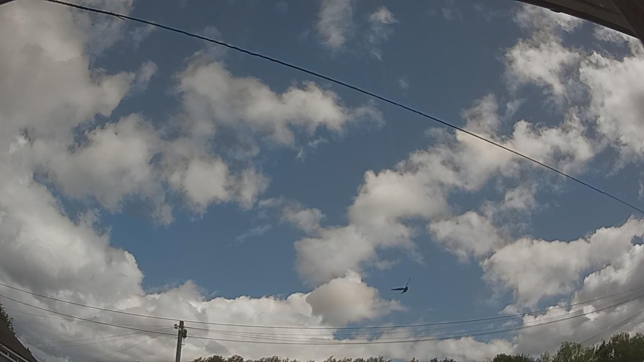 20260805_102101_cam2.jpg