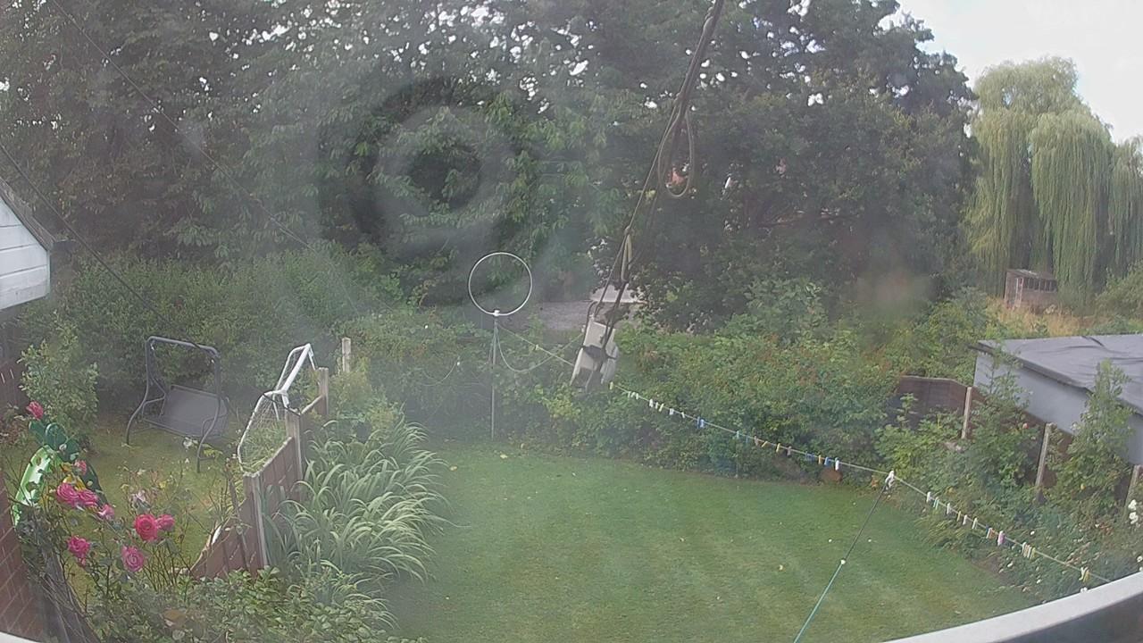 20260805_103341_cam1.jpg