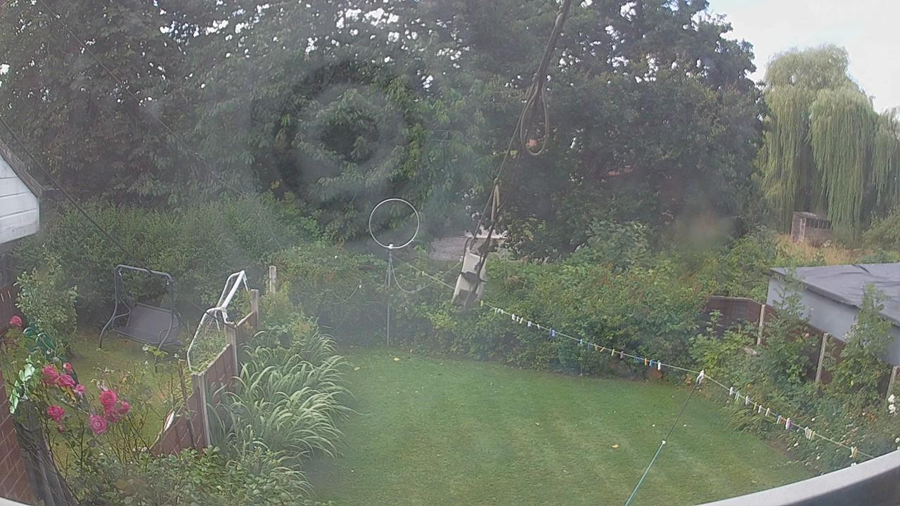 20260805_103620_cam1.jpg