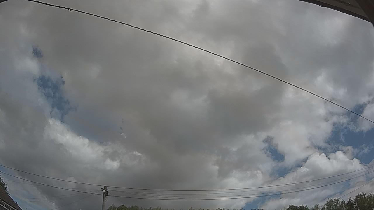 20260805_104936_cam2.jpg