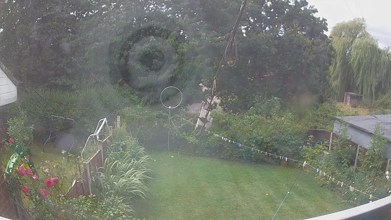 20260805_105454_cam1.jpg